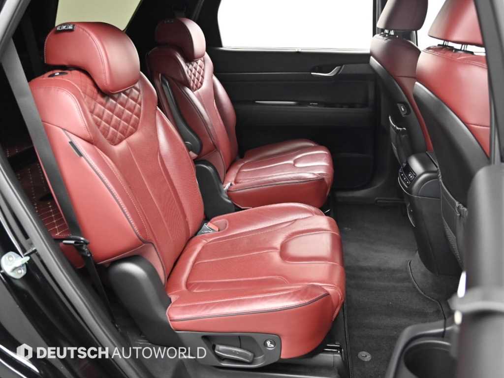 HYUNDAI Palisade - Vista 12