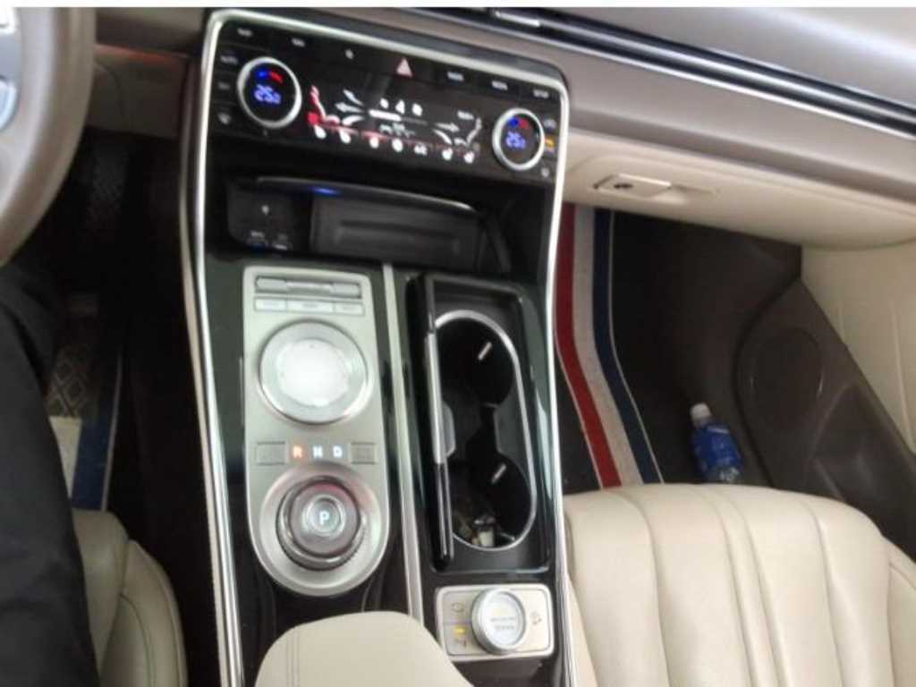 Genesis GV80 - Vista 10