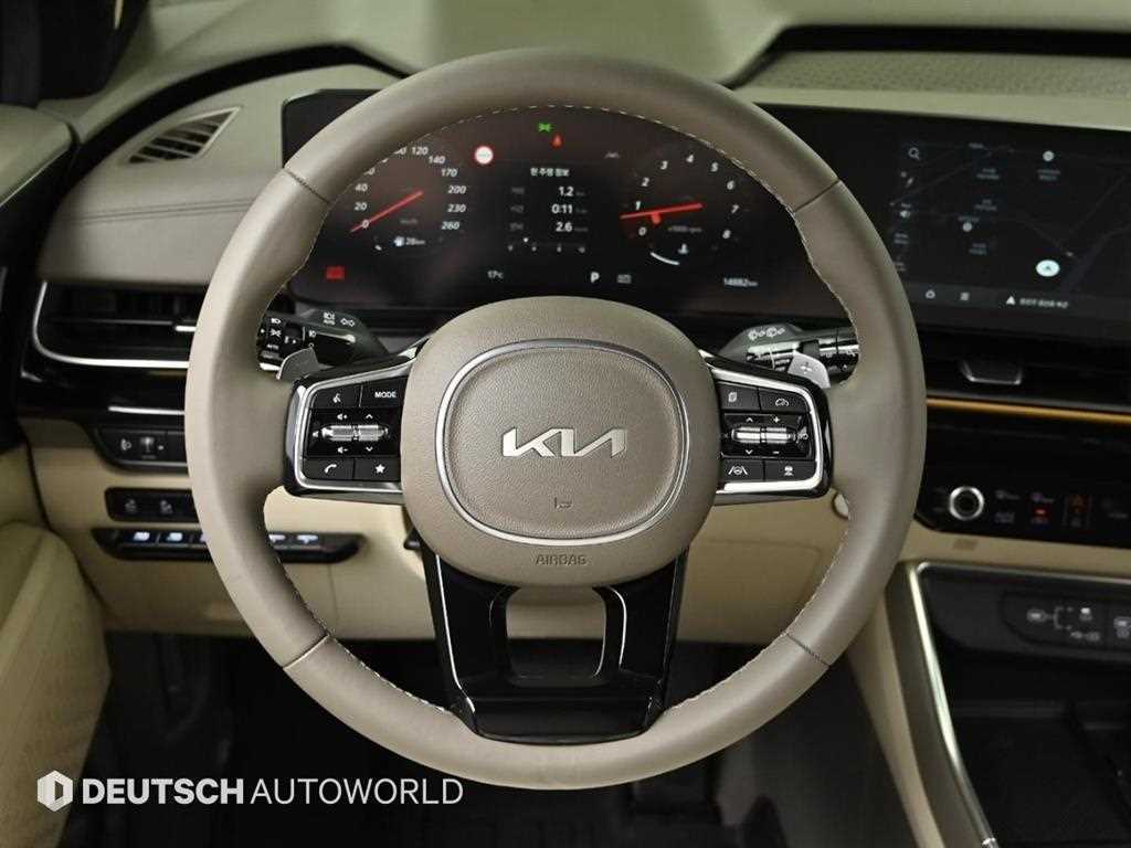 KIA Carnival - Vista 12