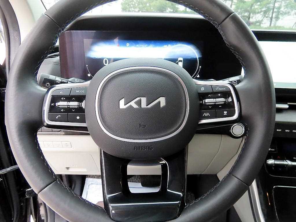 KIA Carnival - Vista 9