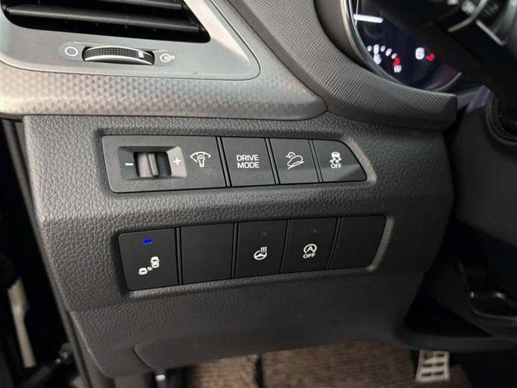 HYUNDAI Maxcruz - Vista 12