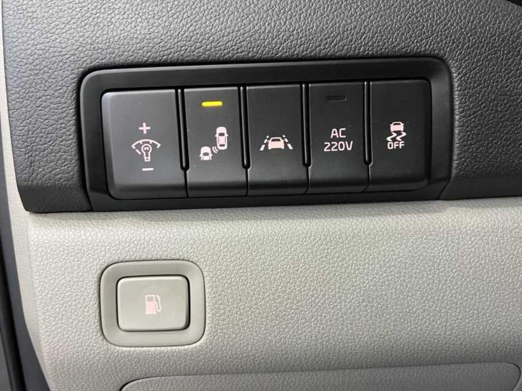 KIA Carnival - Vista 10