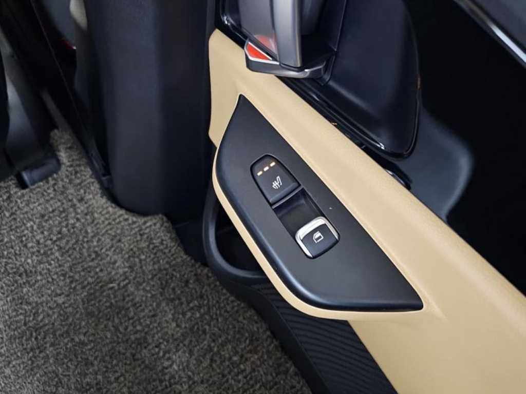 KIA Carnival - Vista 9