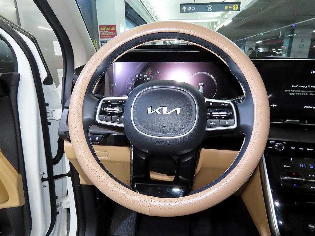 KIA Carnival - Vista 8