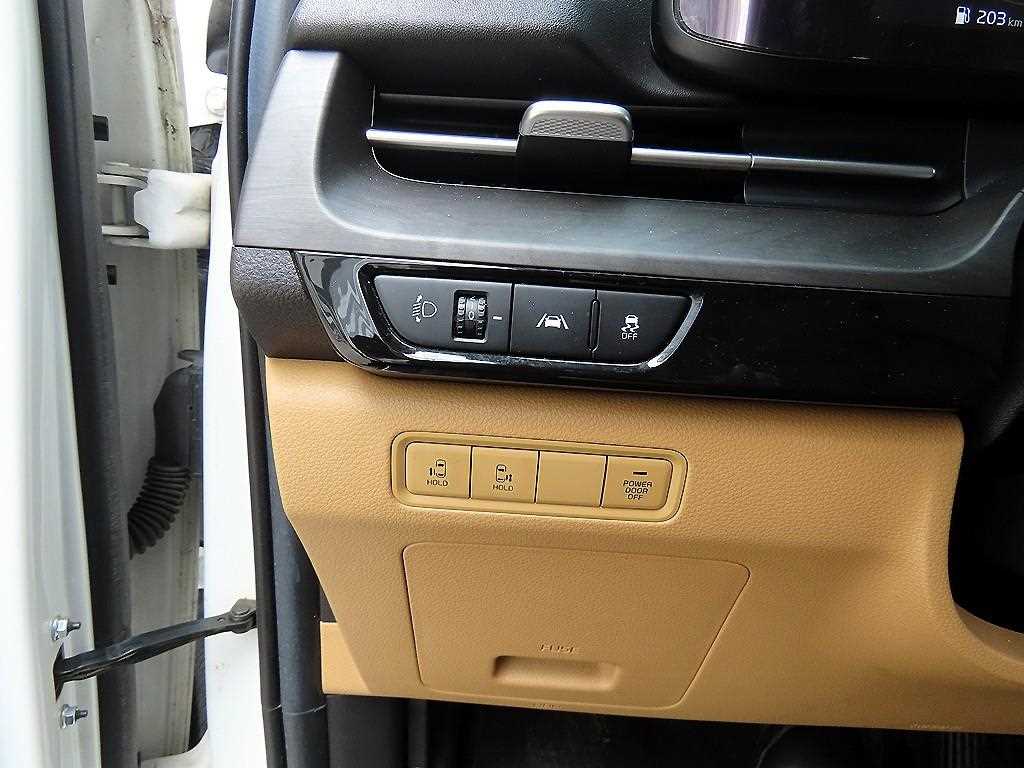 KIA Carnival - Vista 12