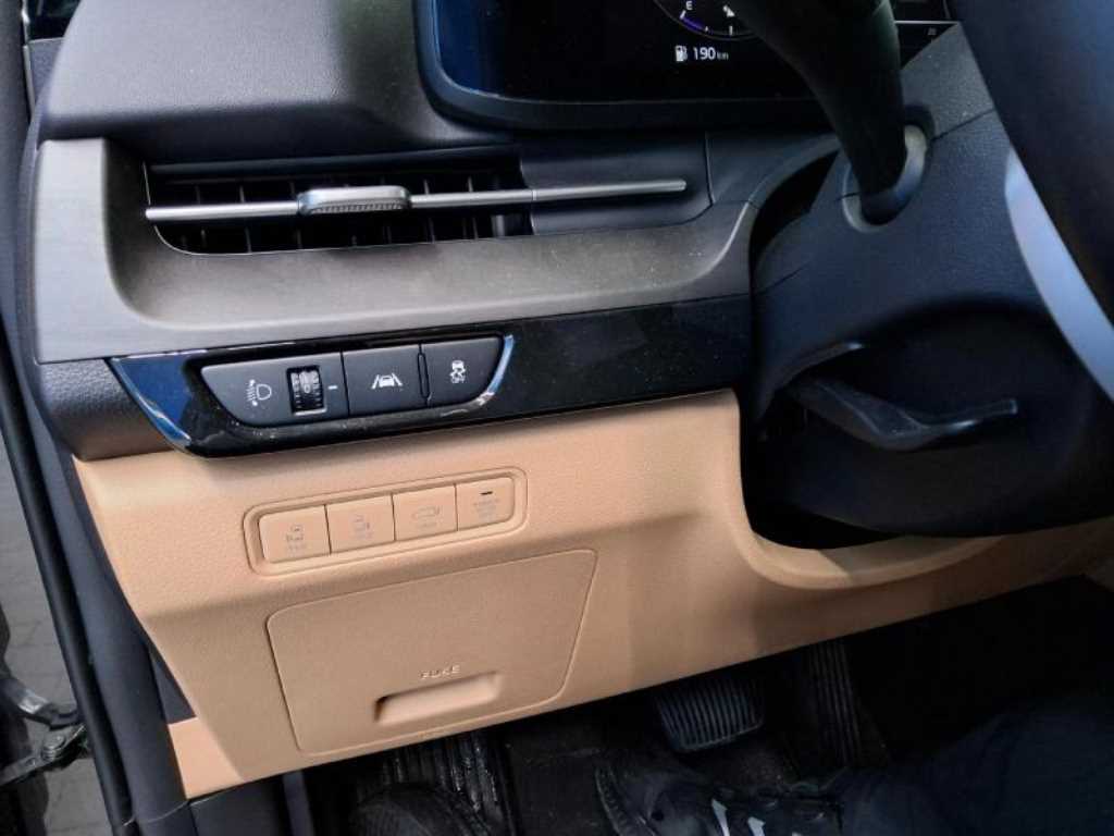 KIA Carnival - Vista 4