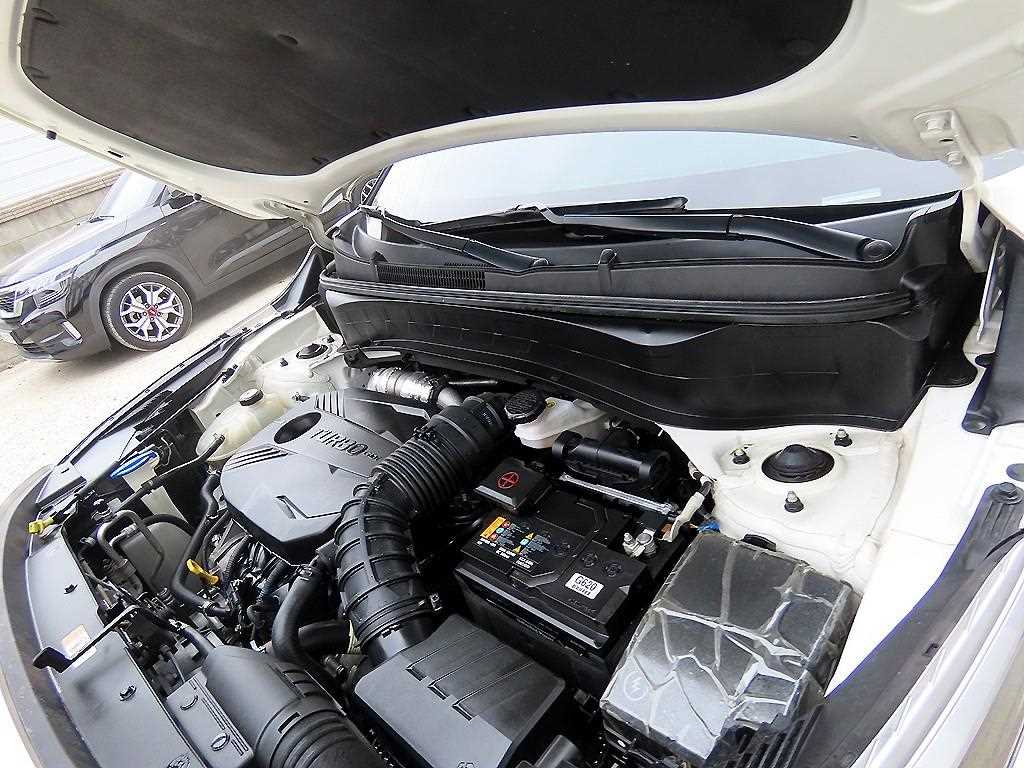 KIA Seltos 2020 Blanco - Importación desde Corea - HF Imports Iquique - Foto 17