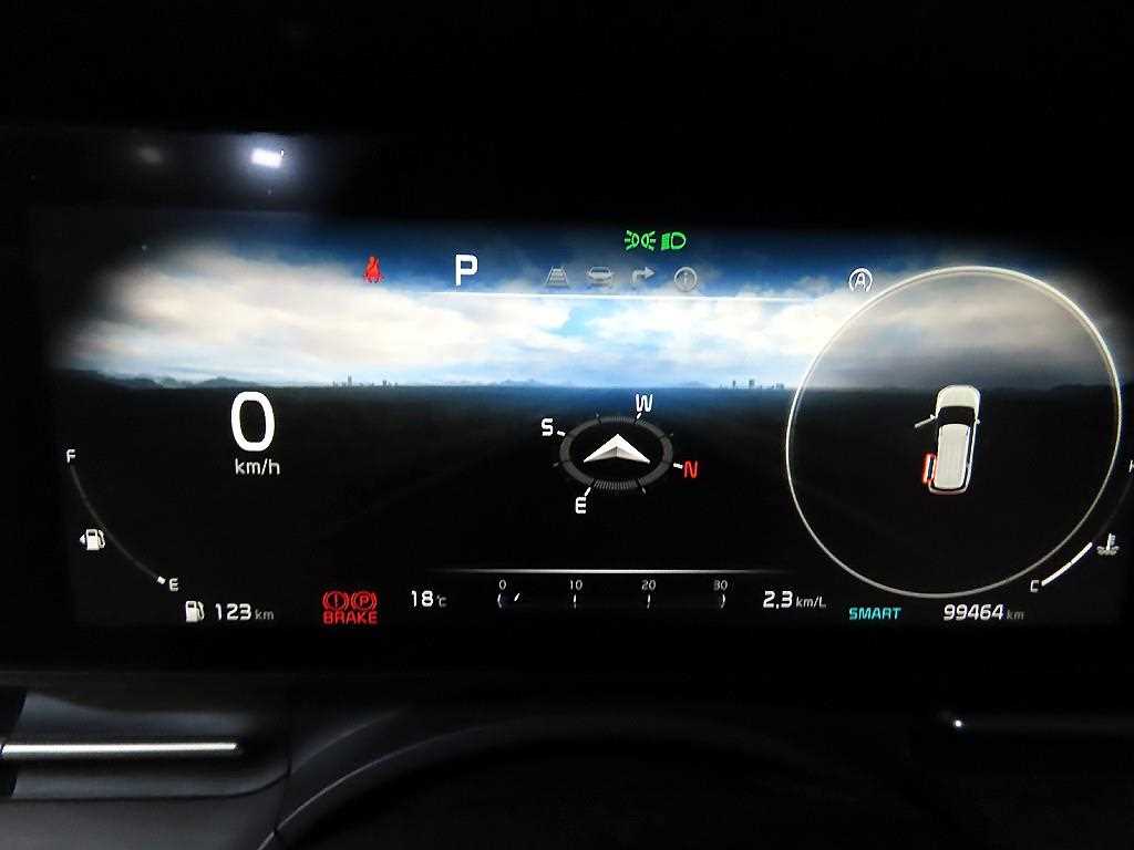 KIA Carnival - Vista 9