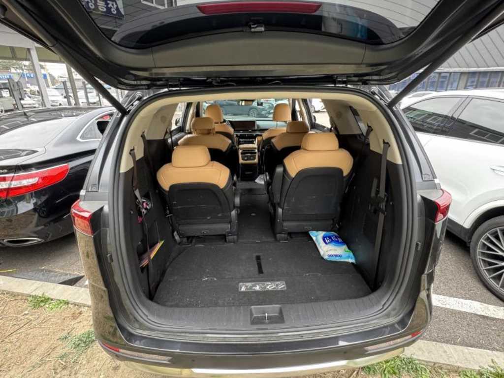 KIA Carnival - Vista 5