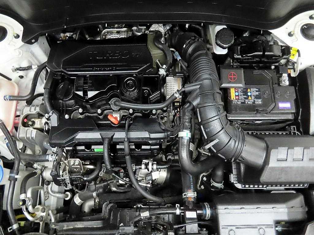 KIA Seltos 2024 Blanco - Importación desde Corea - HF Imports Iquique - Foto 20