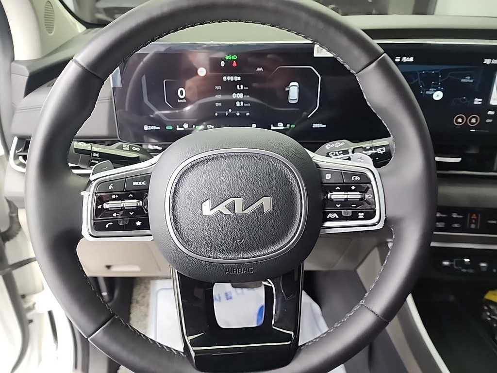 KIA Carnival - Vista 9