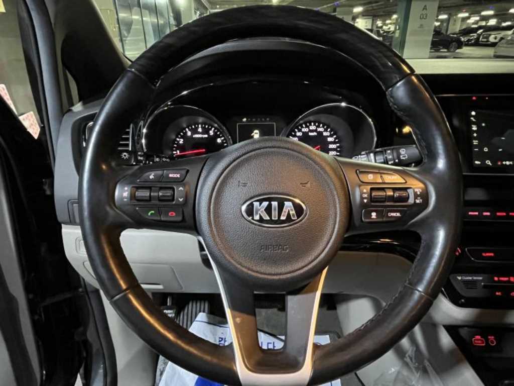 KIA Carnival - Vista 12