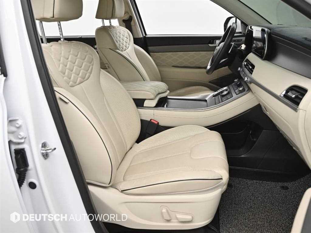 HYUNDAI Palisade - Vista 10