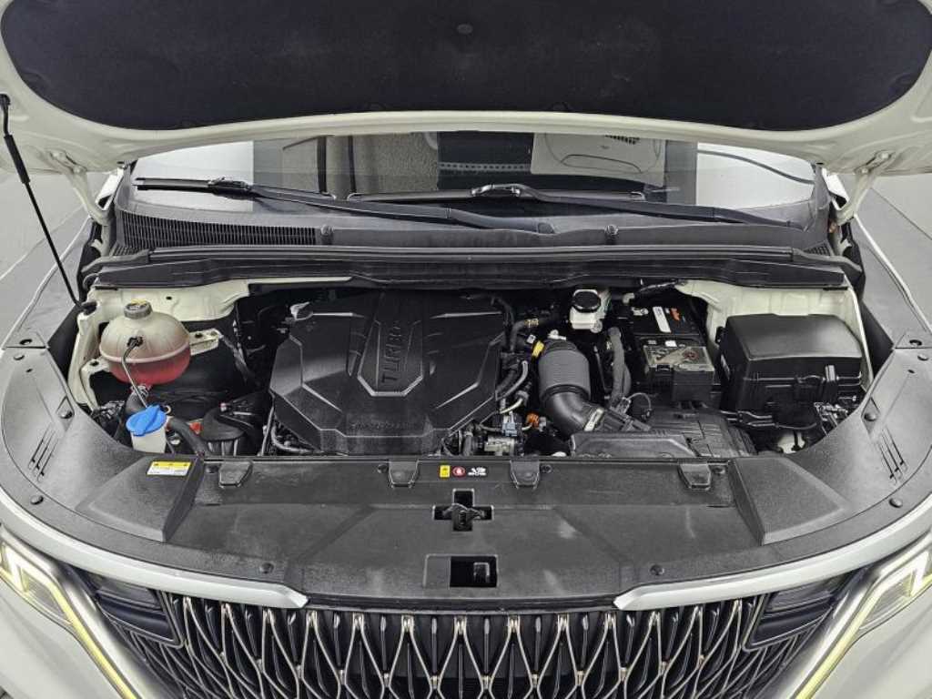 KIA Carnival - Vista 12