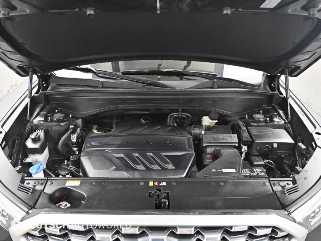 HYUNDAI Palisade - Vista 6