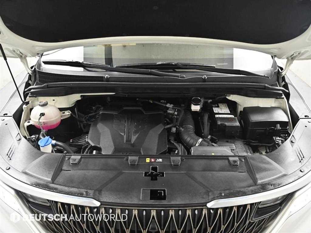 KIA Carnival - Vista 6