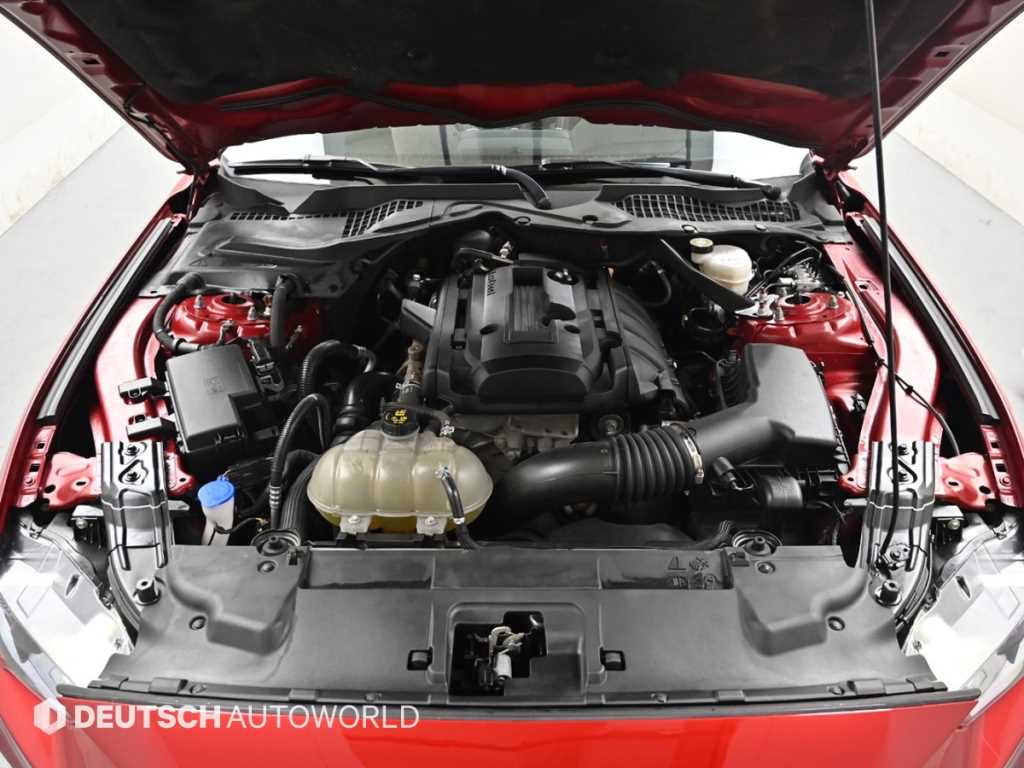 Ford Mustang - Vista 6