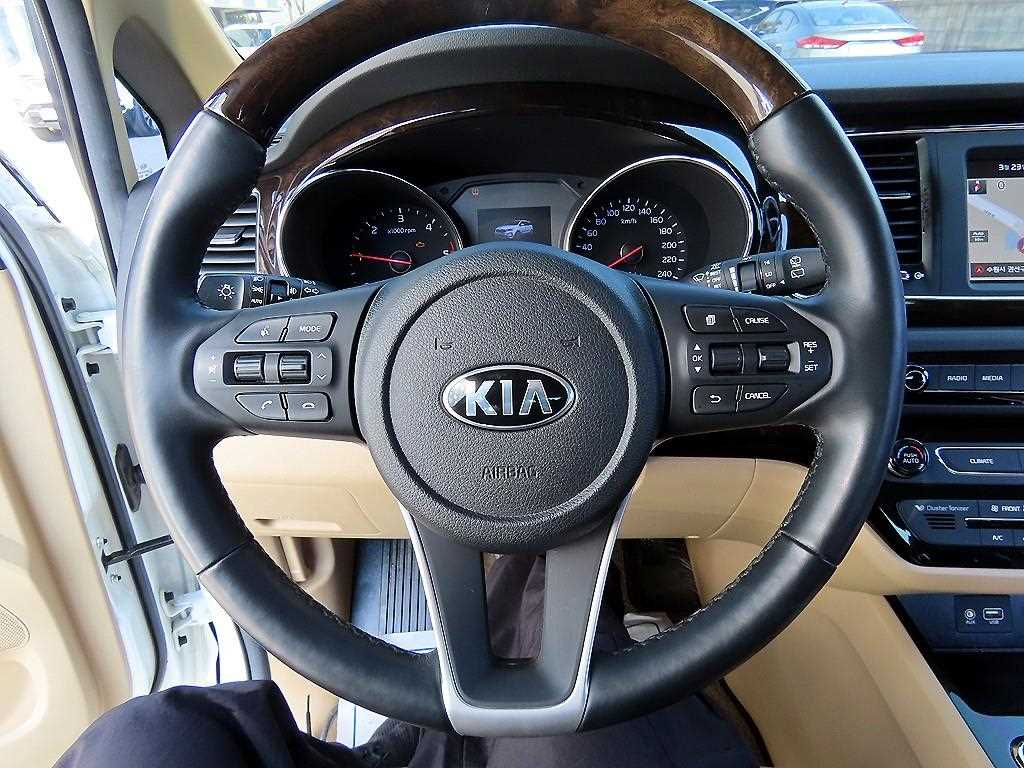 KIA Carnival - Vista 9