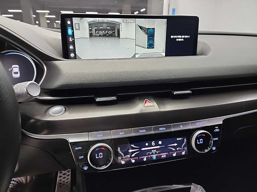 Genesis G80 - Vista 10