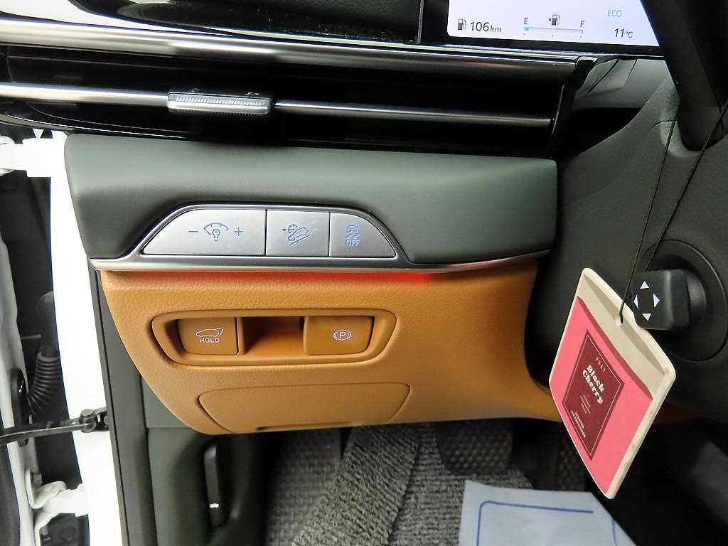 Genesis GV80 - Vista 12