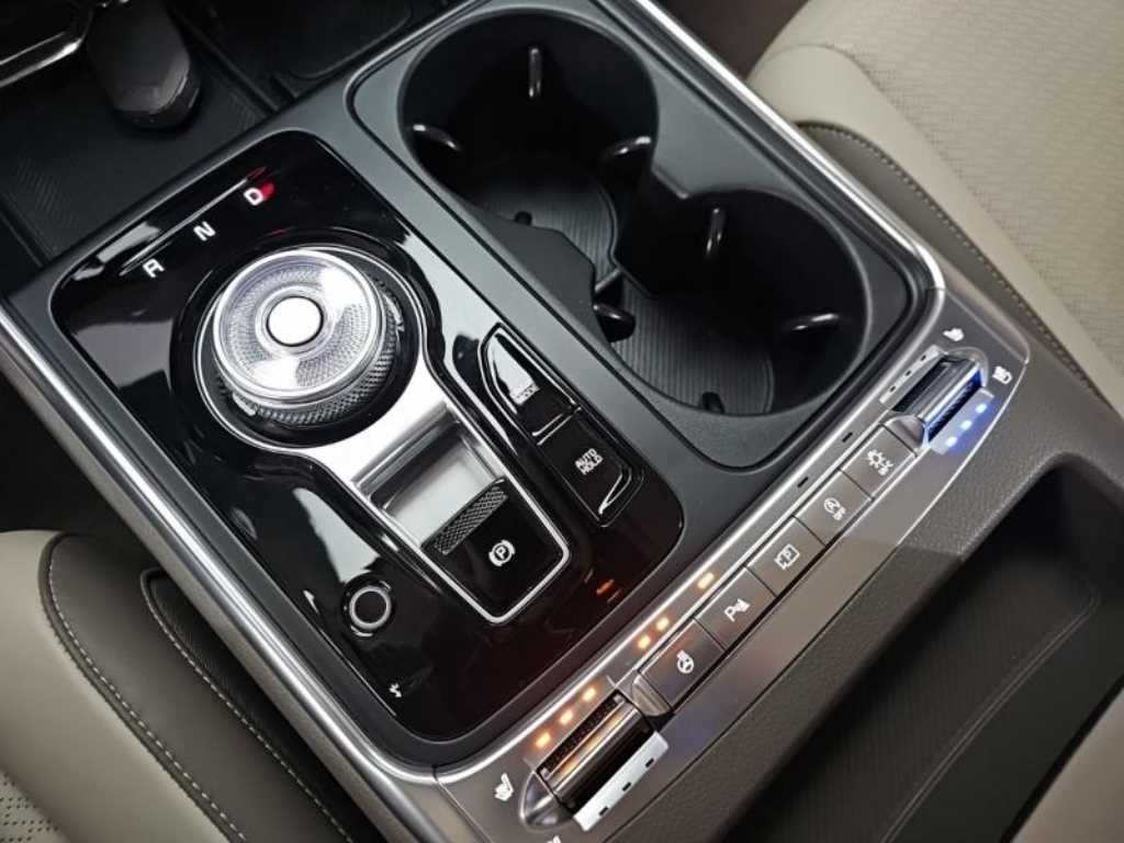 KIA Carnival - Vista 12