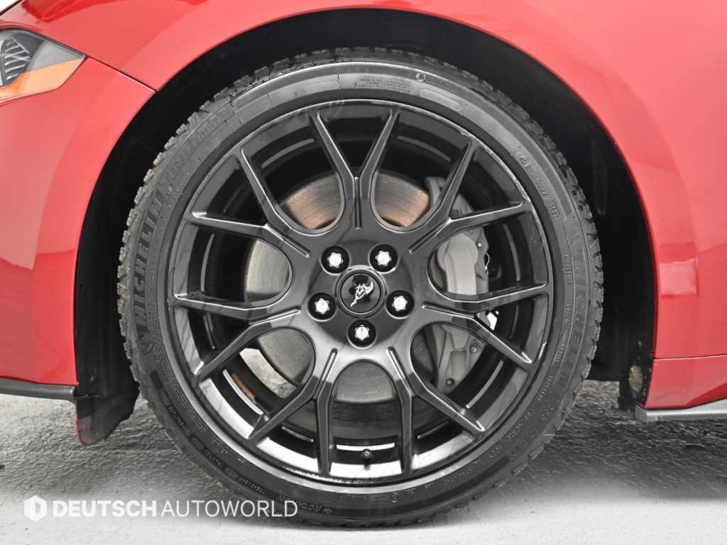 Ford Mustang - Vista 5