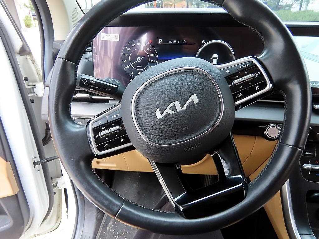 KIA Carnival - Vista 8