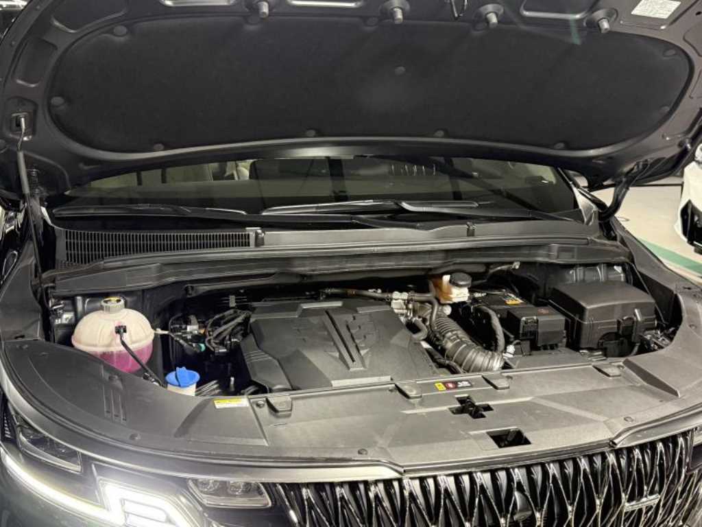 KIA Carnival - Vista 6