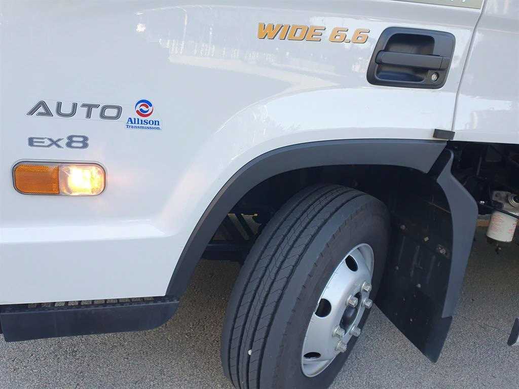 medium and large cargo truck - Vista 11