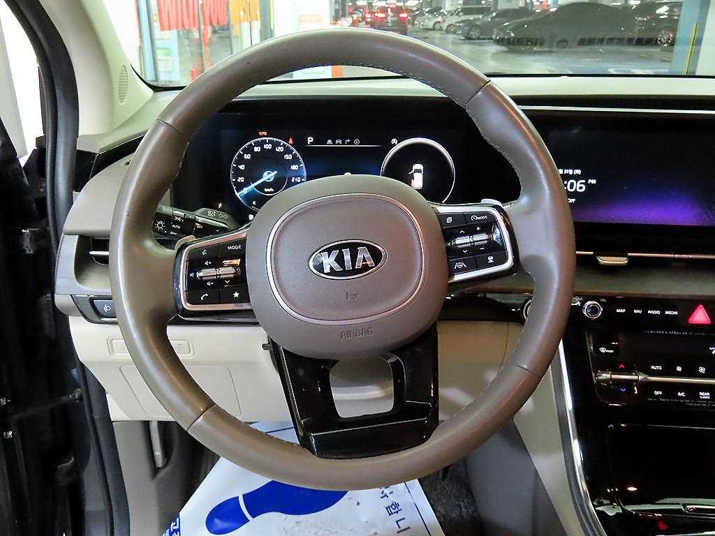 KIA Carnival - Vista 8