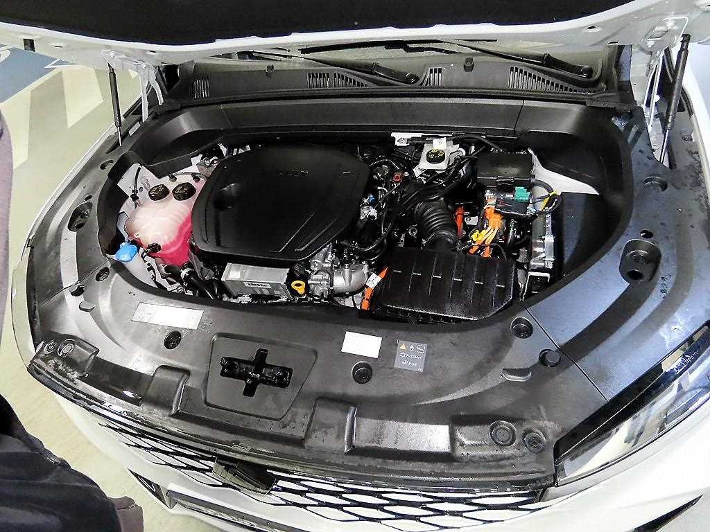 SAMSUNG Grand Koleos 2025 Blanco - Importación desde Corea - HF Imports Iquique - Foto 19