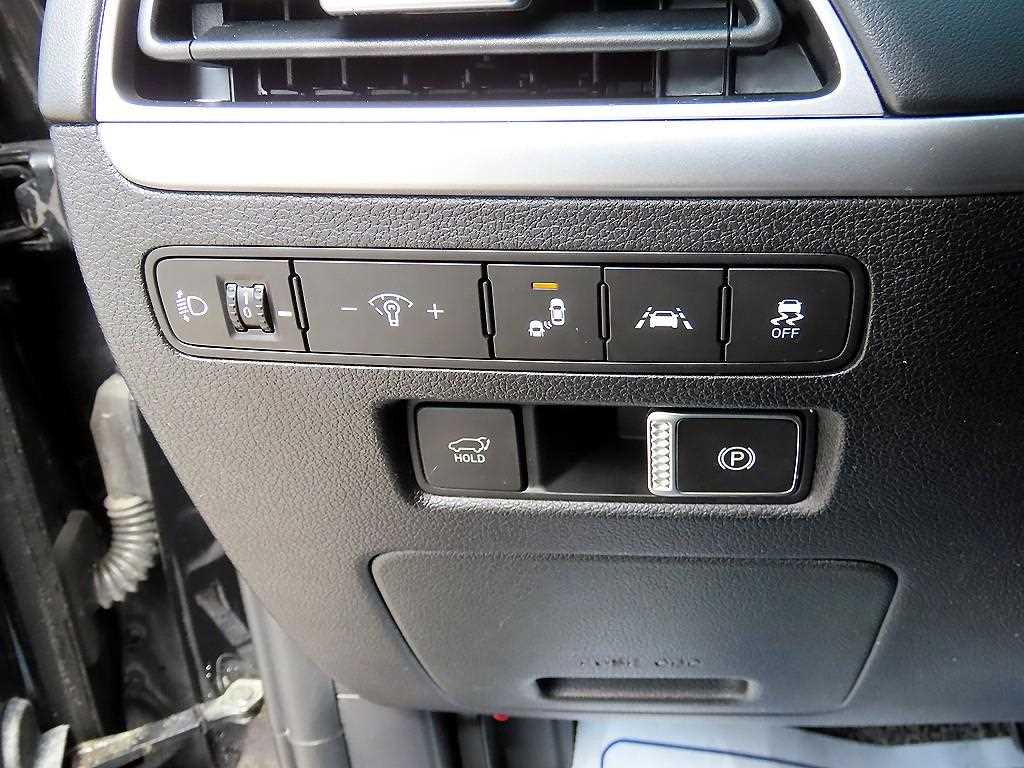 HYUNDAI Palisade - Vista 12