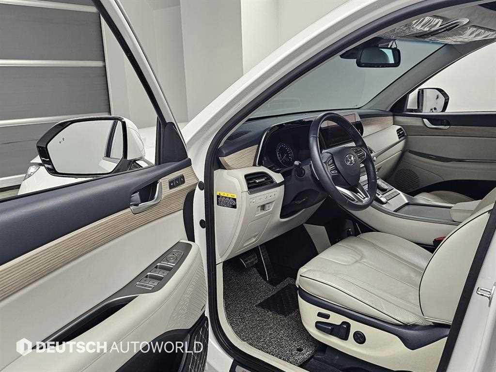 HYUNDAI Palisade - Vista 10
