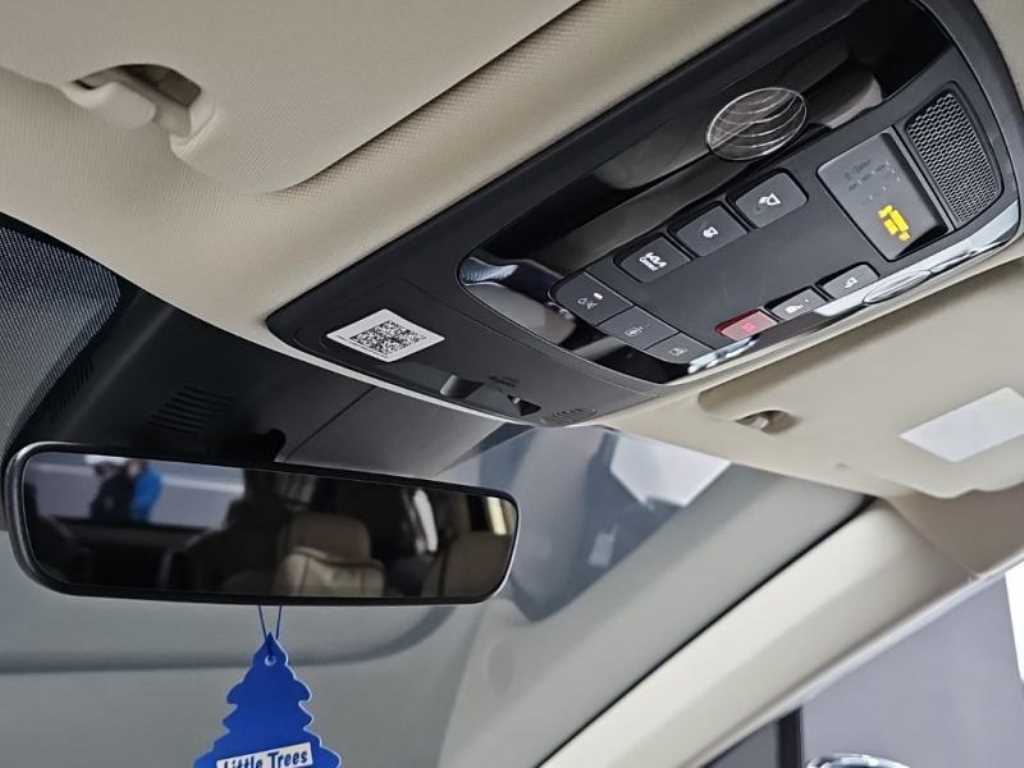 KIA Carnival - Vista 12