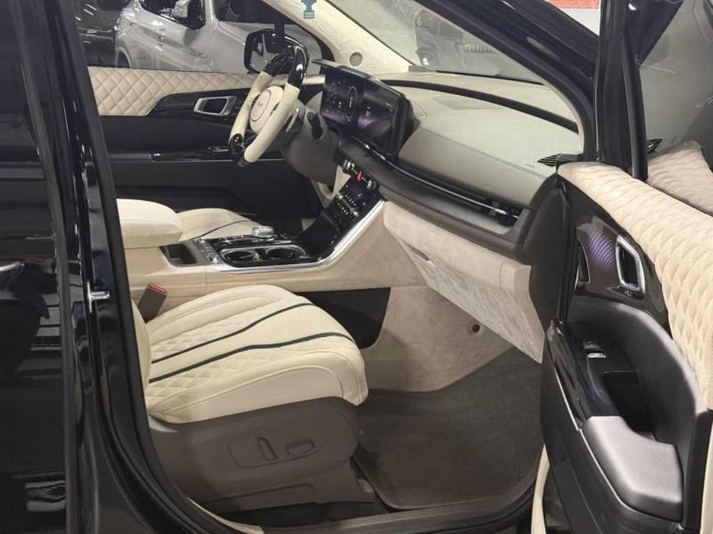 KIA Carnival - Vista 12