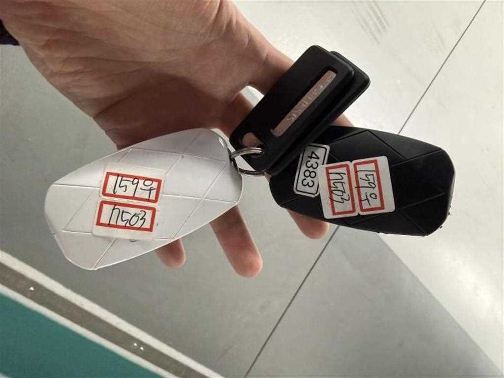 Genesis G90 2022 Negro - Importación desde Corea - HF Imports Iquique - Foto 18