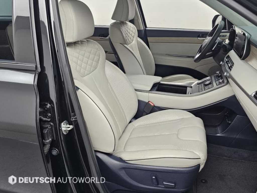 HYUNDAI Palisade - Vista 10