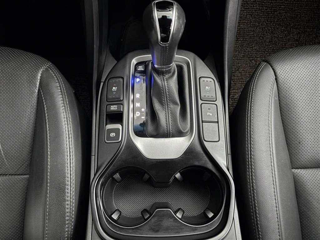 HYUNDAI Maxcruz - Vista 7