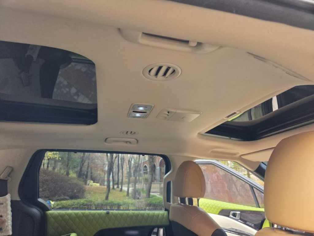 KIA Carnival - Vista 7