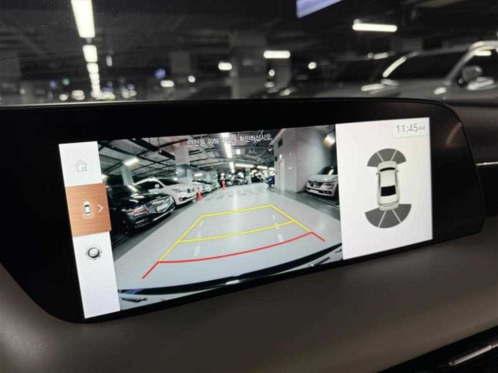 Genesis G90 - Vista 10