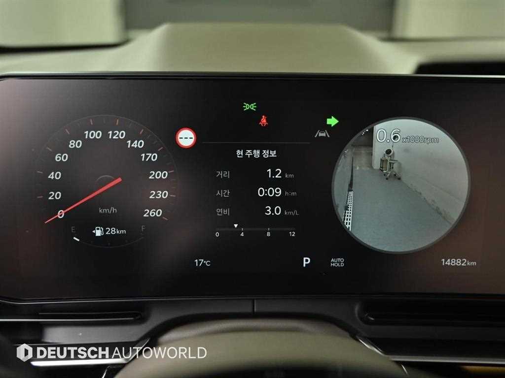 KIA Carnival - Vista 8