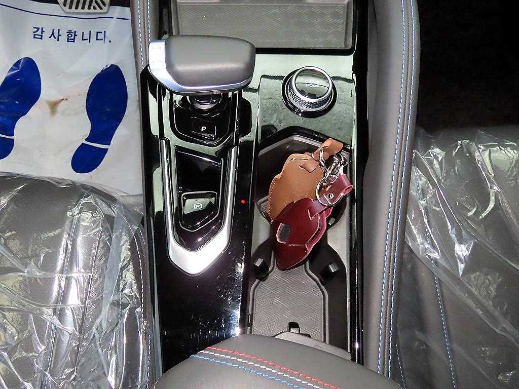 SAMSUNG Grand Koleos - Vista 12