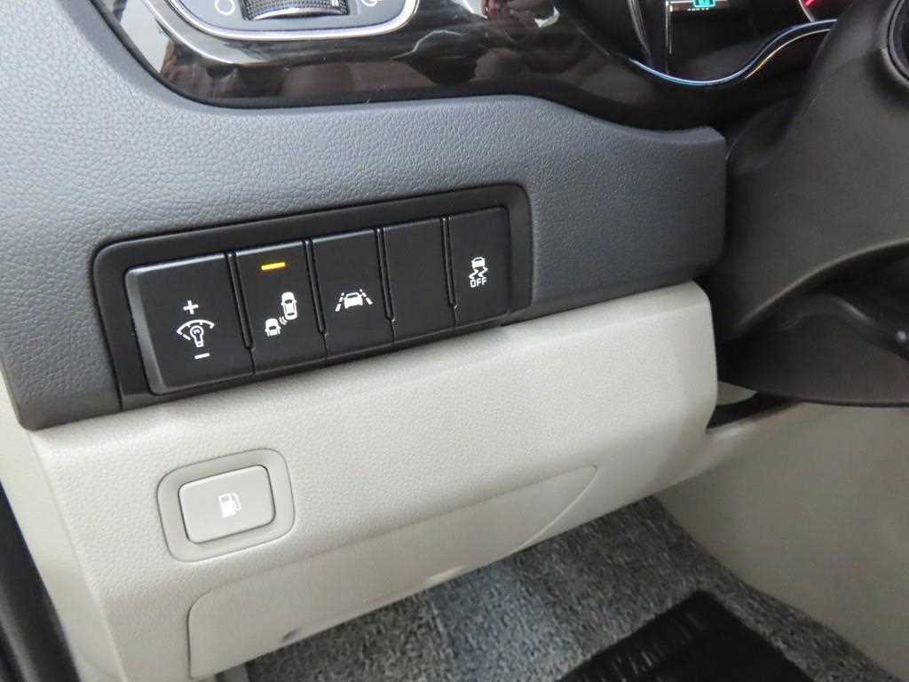 KIA Carnival - Vista 10