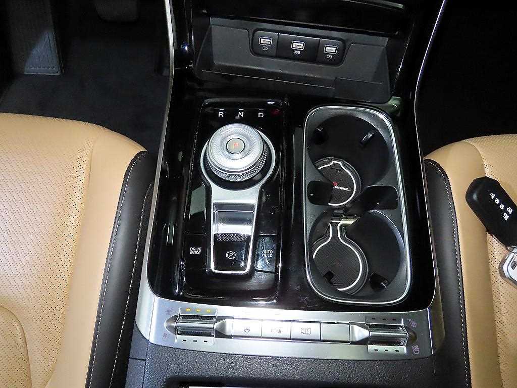 KIA Carnival - Vista 12