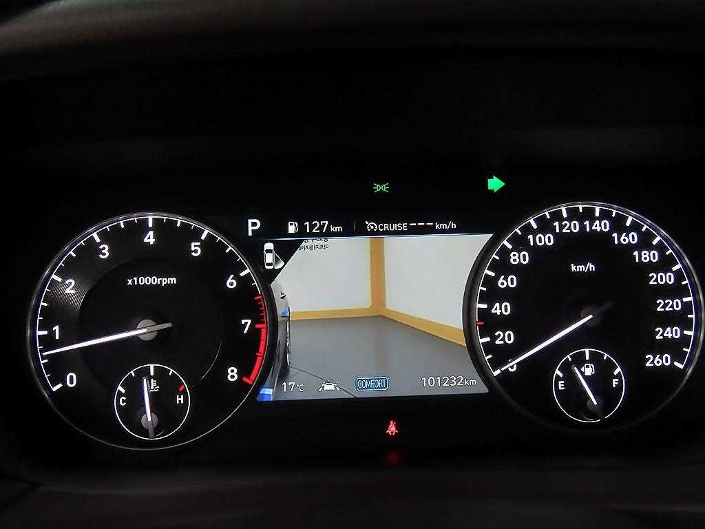 Genesis G90 - Vista 8