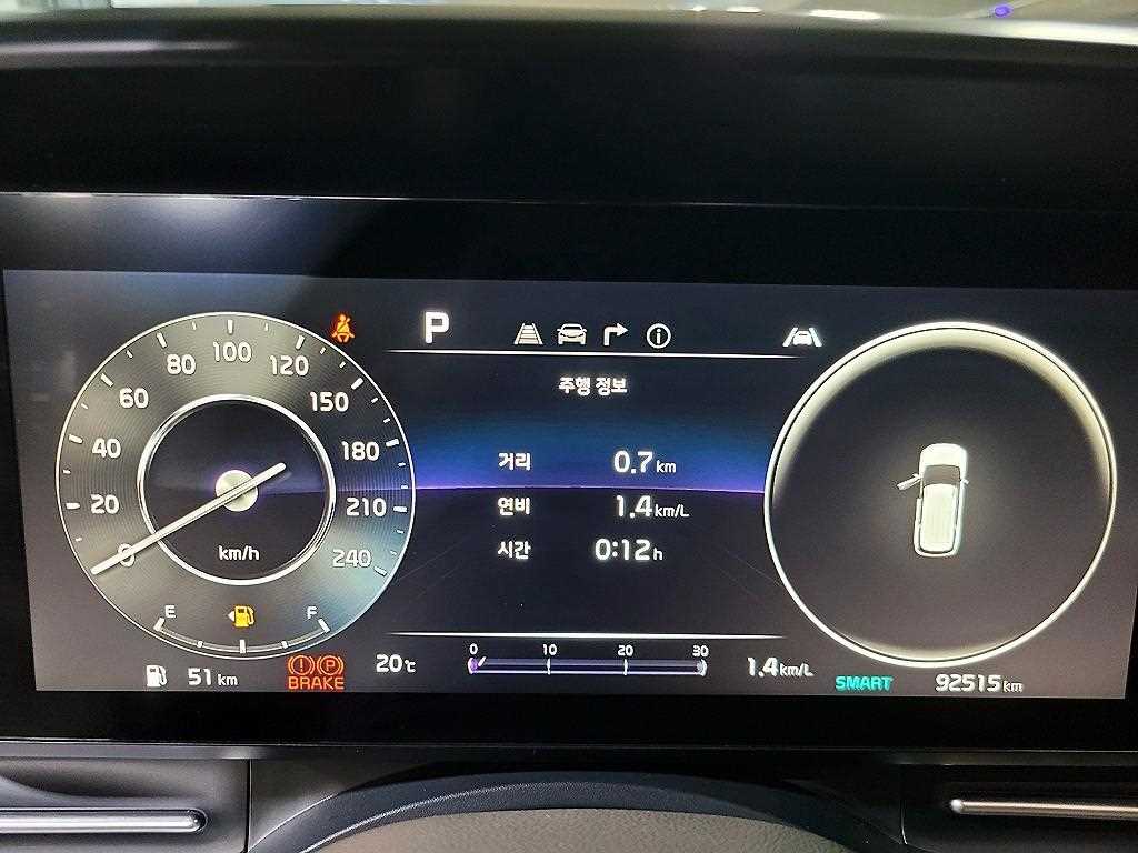 KIA Carnival - Vista 10