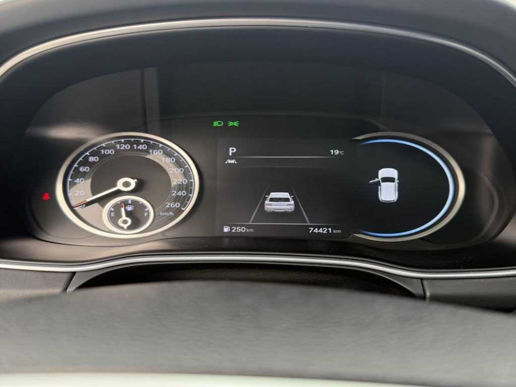 Genesis GV80 - Vista 10