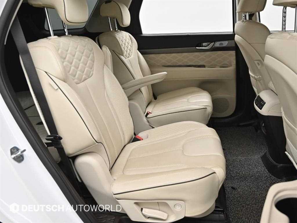 HYUNDAI Palisade - Vista 12