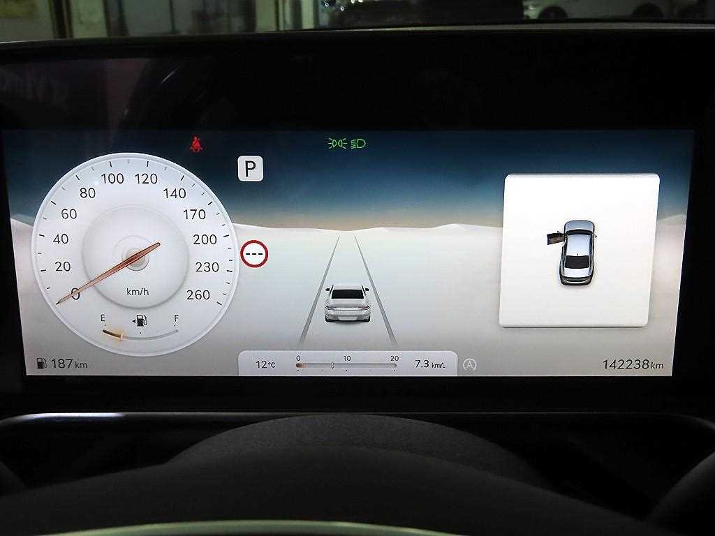 Genesis G90 - Vista 9