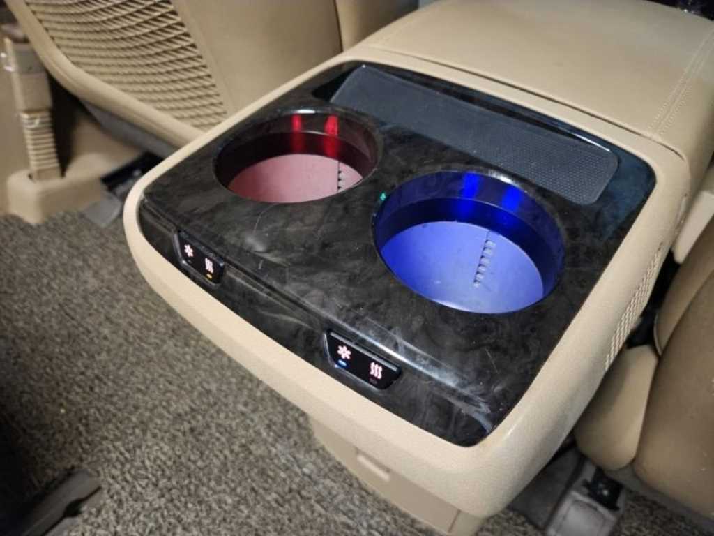 KIA Carnival - Vista 12